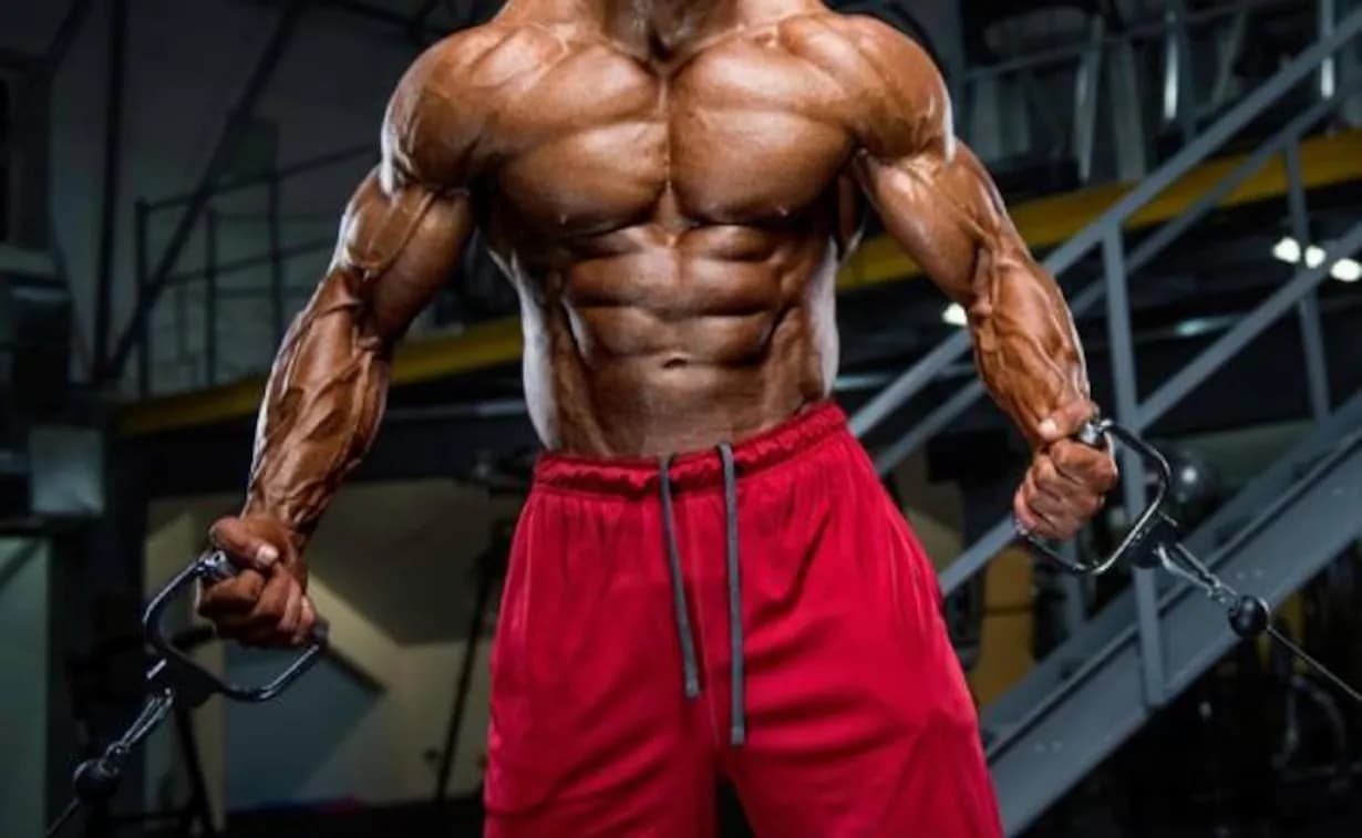 Heisenberg Pre Workout: Der perfekte Booster für Ihre Trainingsziele