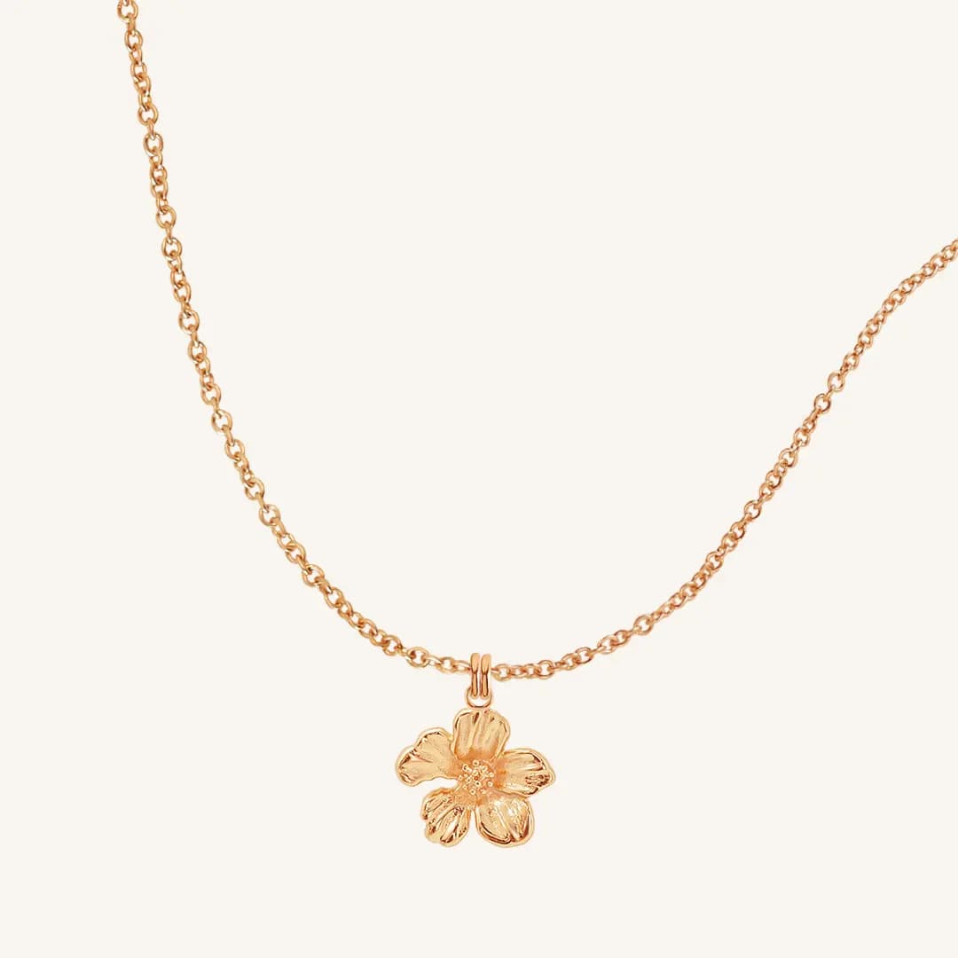 PITANI®️ Halsketten: Hochwertiger Schmuck zu unschlagbaren Preisen