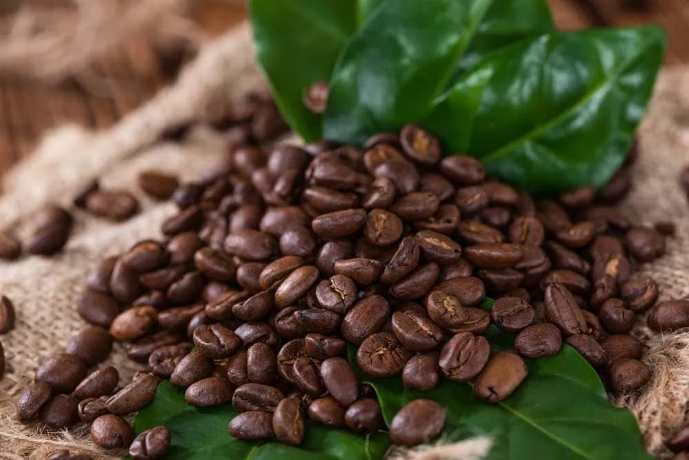 Espressobohnen: Entdecken Sie die Kraft des Kaffees