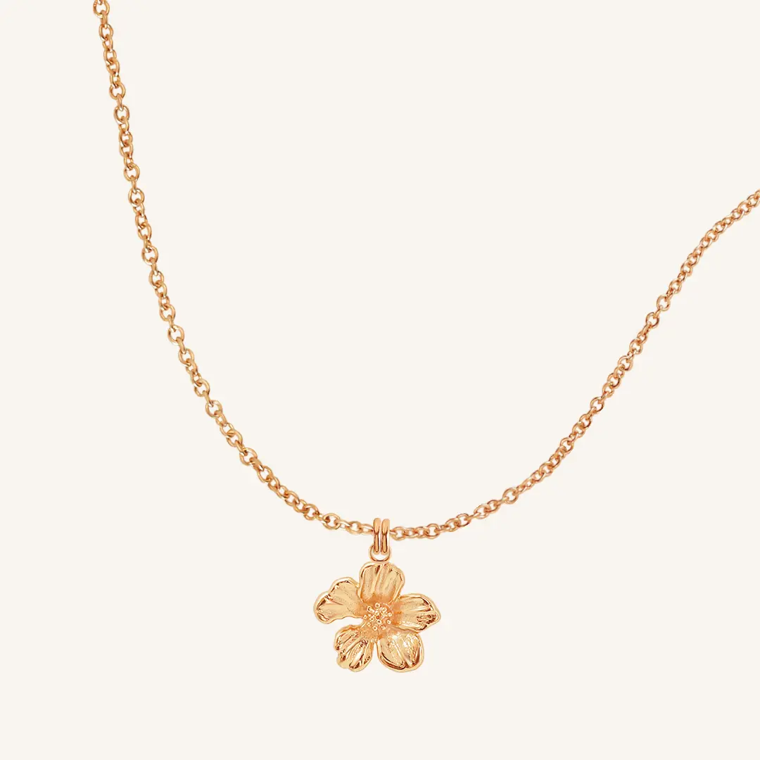 PITANI®️ Halsketten: Hochwertiger Schmuck zu unschlagbaren Preisen
